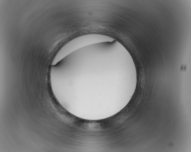 X0000112720501200909171107