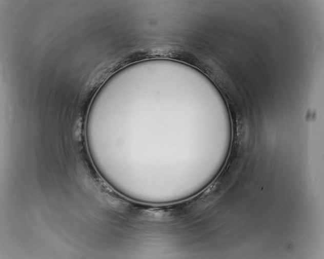 X0000112720502200909171107