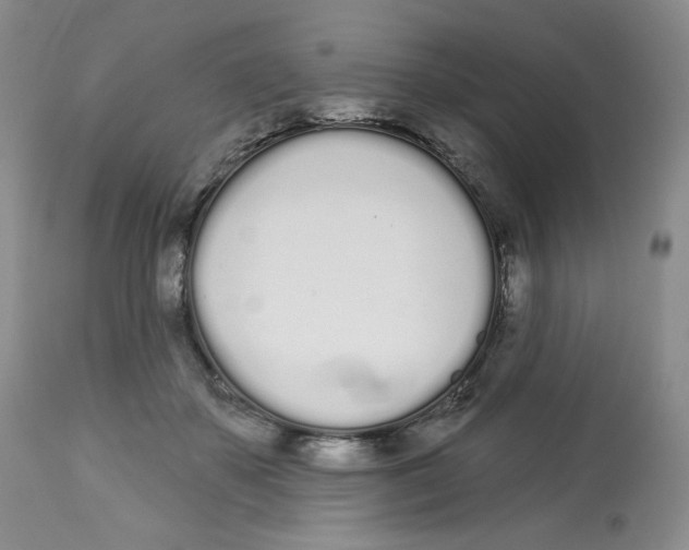 X0000112720507200909171107