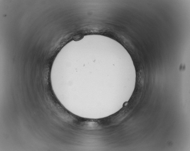 X0000112720509200909171107