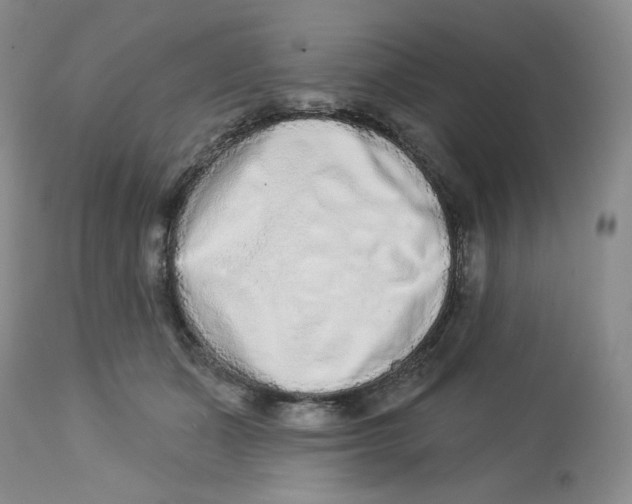 X0000112720511200909171107