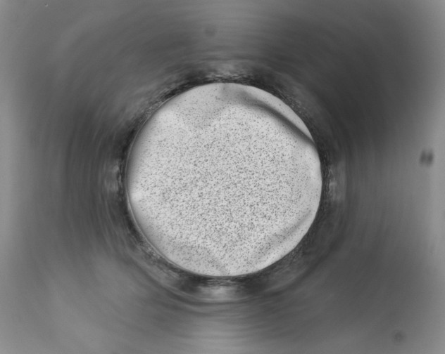 X0000112720514200909171107