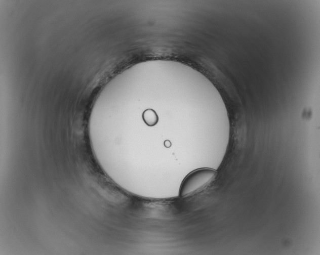 X0000112720516200909171107