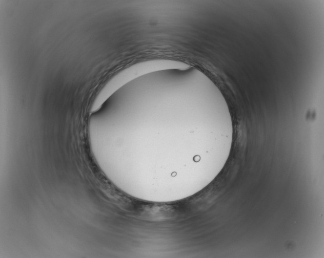 X0000112720517200909171107