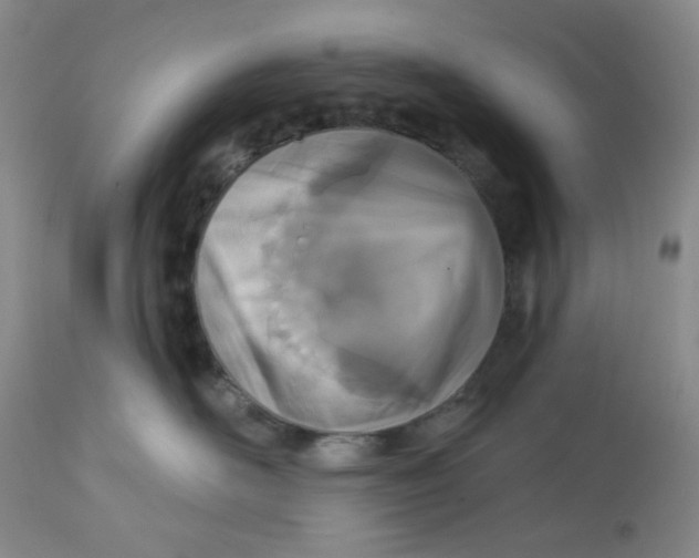 X0000112720526200909171107