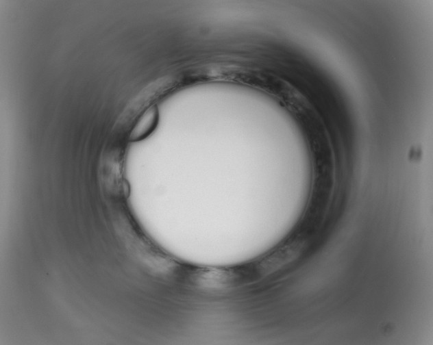 X0000112720527200909171107