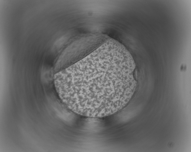 X0000112720528200909171107