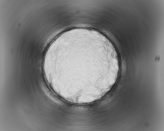 X0000112720533200909171107