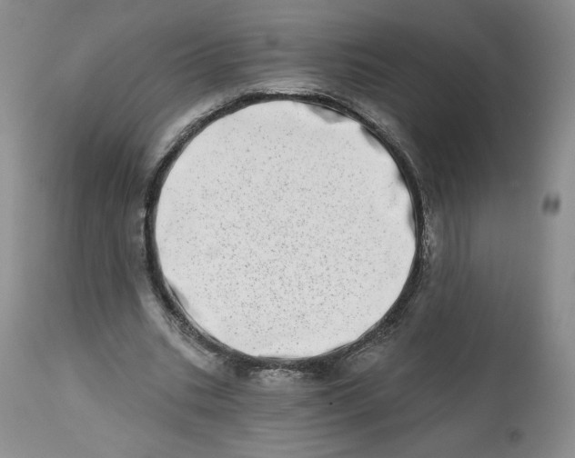 X0000112720535200909171107