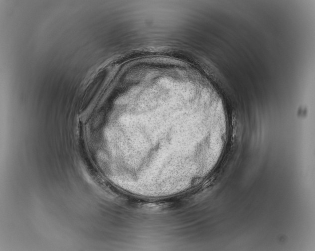 X0000112720542200909171107