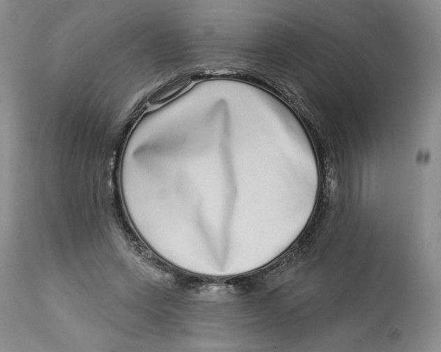 X0000112720543200909171107