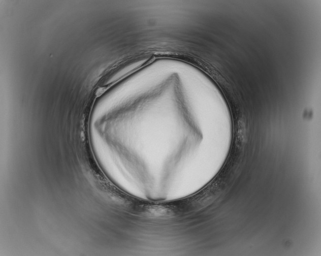 X0000112720547200909171107