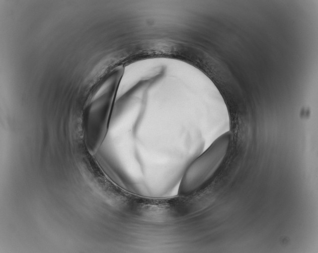 X0000112720548200909171107