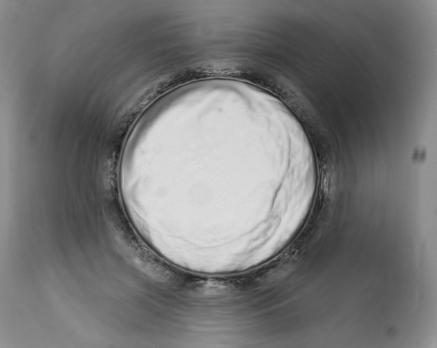 X0000112720549200909171107