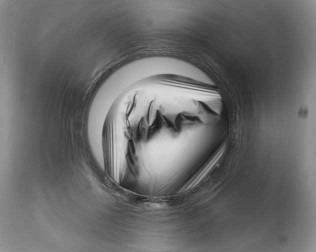 X0000112720552200909171107