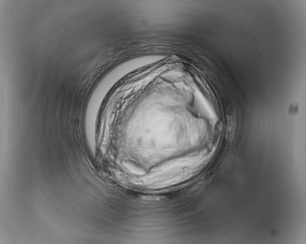 X0000112720553200909171107