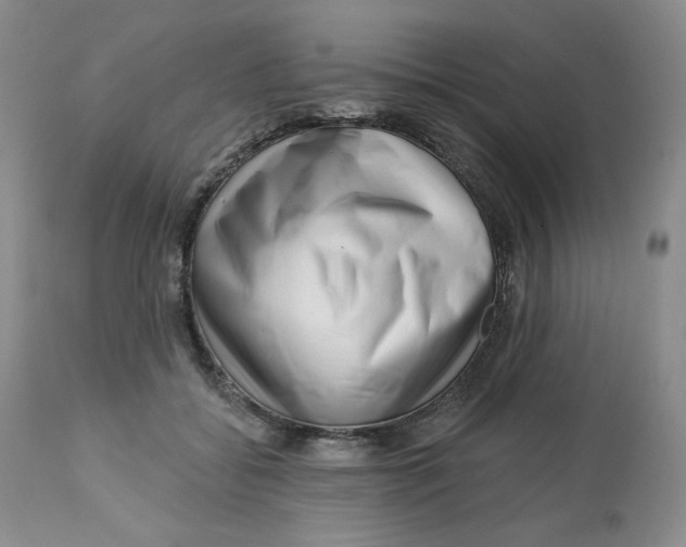 X0000112720556200909171107