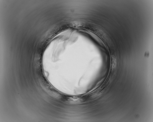 X0000112720557200909171107