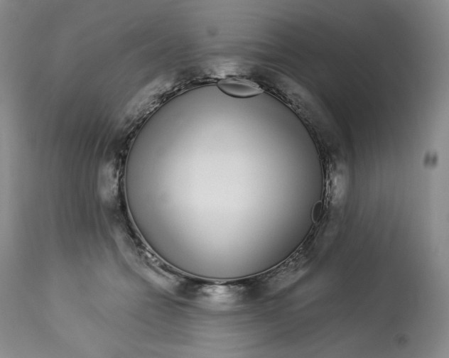 X0000112720558200909171107