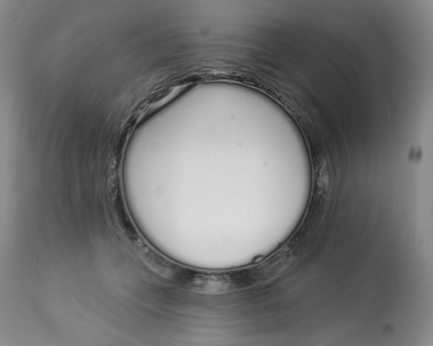 X0000112720559200909171107