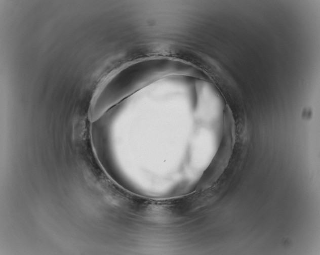 X0000112720560200909171107