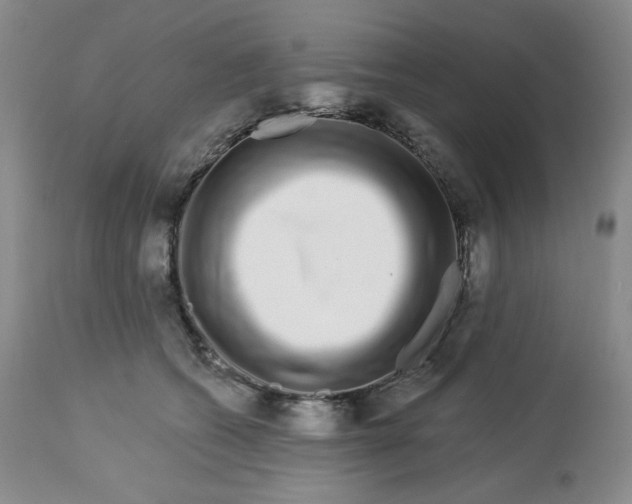 X0000112720562200909171107