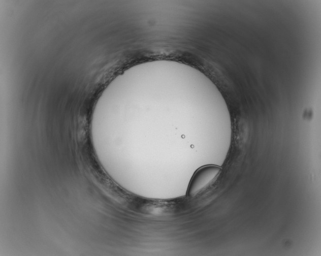 X0000112720563200909171107