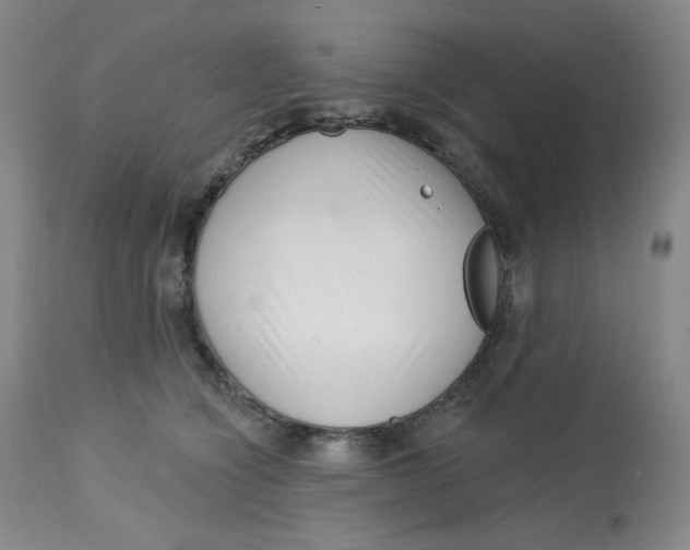 X0000112720564200909171107