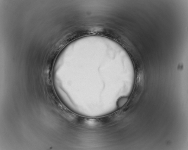 X0000112720565200909171107