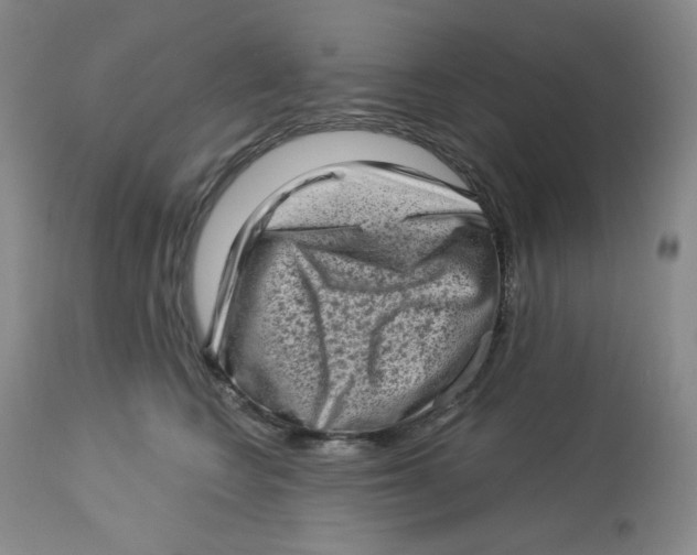 X0000112720566200909171107