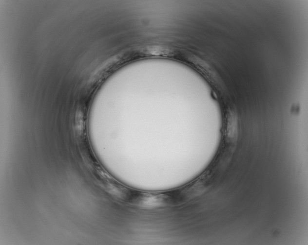 X0000112720569200909171107