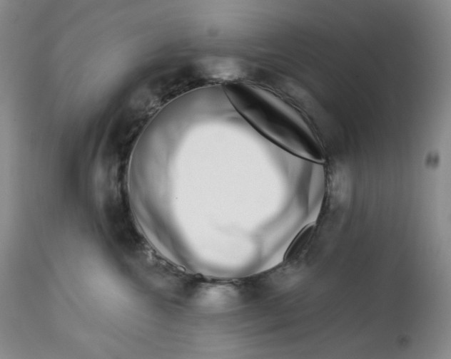 X0000112720572200909171107