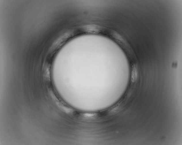 X0000112720573200909171107