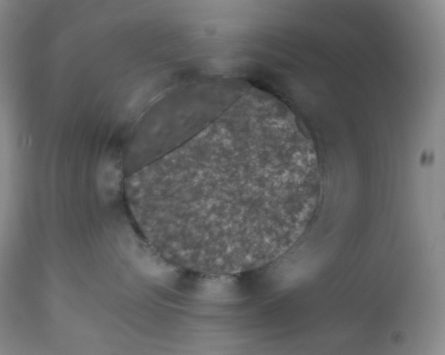 X0000112720576200909171107