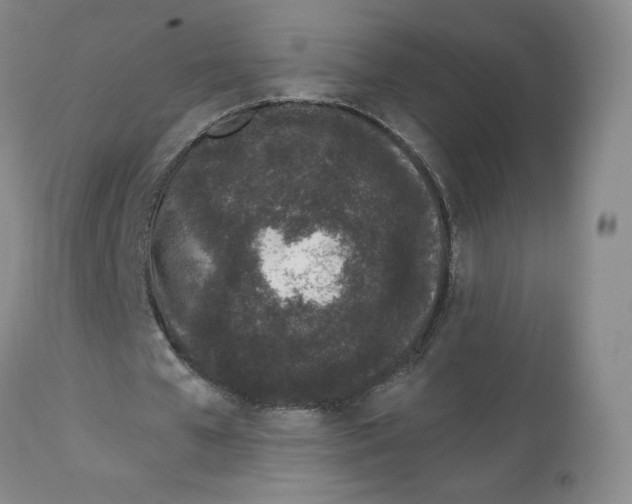 X0000112720577200909171106