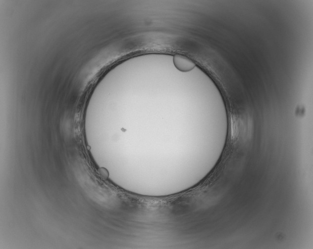 X0000112720579200909171106