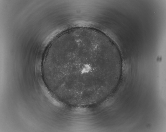 X0000112720581200909171106