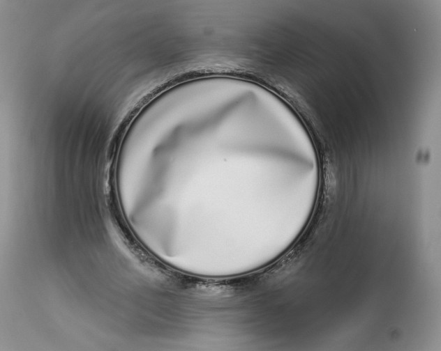 X0000112720582200909171106