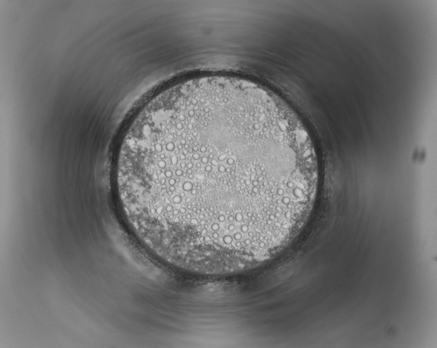 X0000112720584200909171106