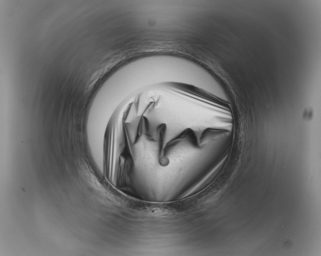 X0000112720585200909171106