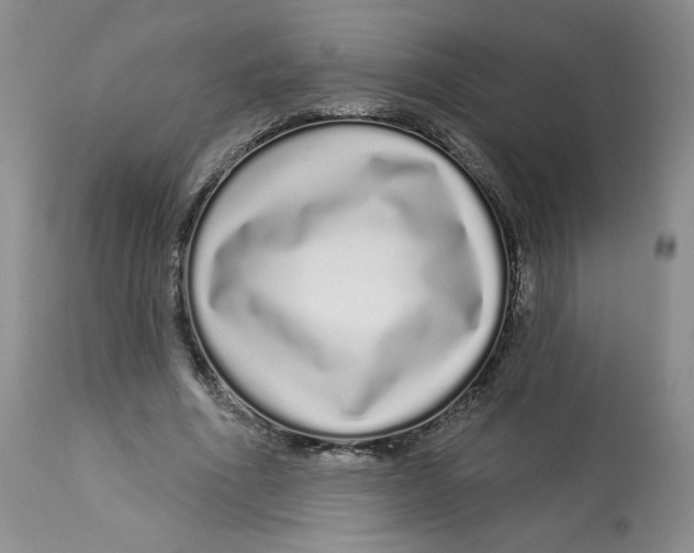 X0000112720586200909171106