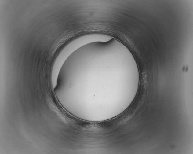 X0000112720589200909171106