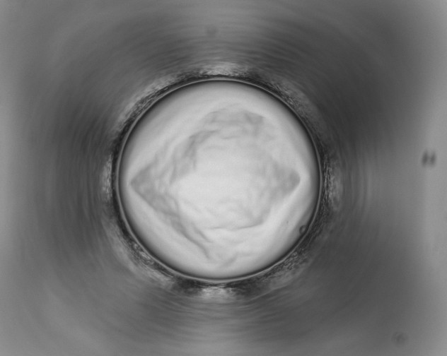 X0000112720591200909171106