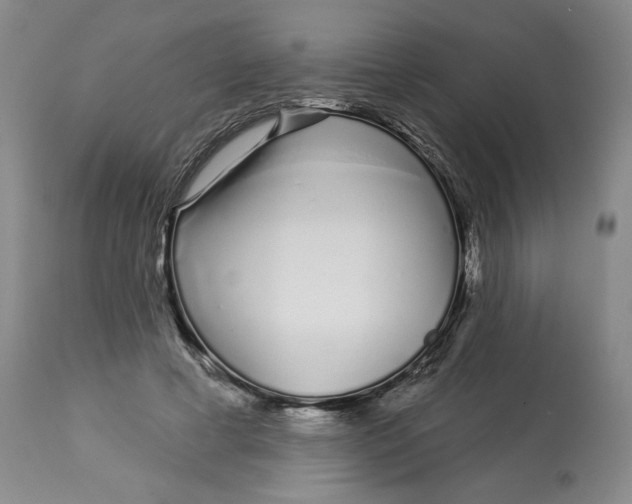 X0000112720593200909171106