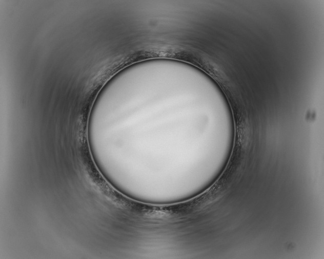 X0000112720594200909171106