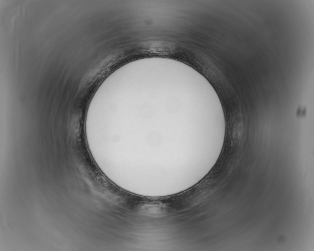 X0000112720595200909171106