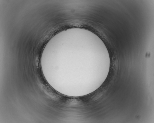 X0000112720597200909171106