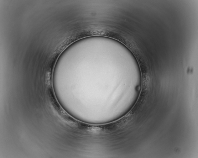 X0000112720598200909171106