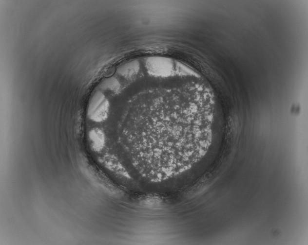 X0000112720600200909171106