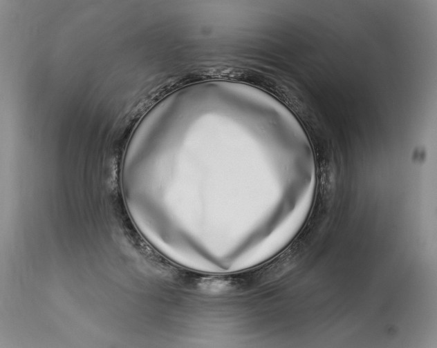 X0000112720602200909171106